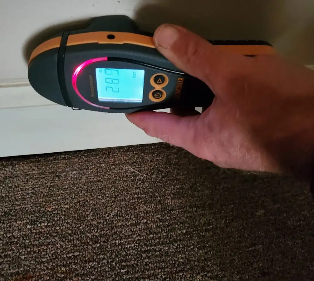 Moisture detection at baseboard during Sewage Cleanup & Sanitation in Belmont